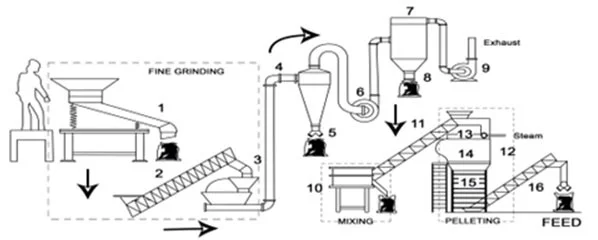Prima-Group-Ceylon-Grain-Elevators-Limited-Go-Live3.webp